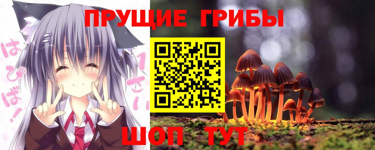 Псилоцибиновые грибы прущие грибы Югорск