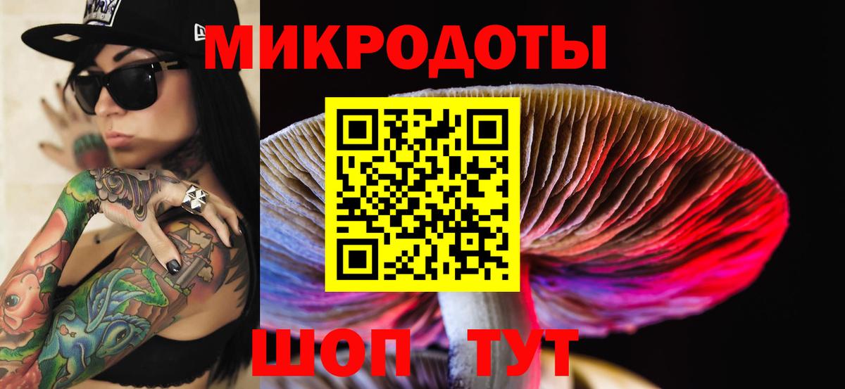 Югорск  Галлюциногенные грибы Psilocybine cubensis  Вход с VPN 